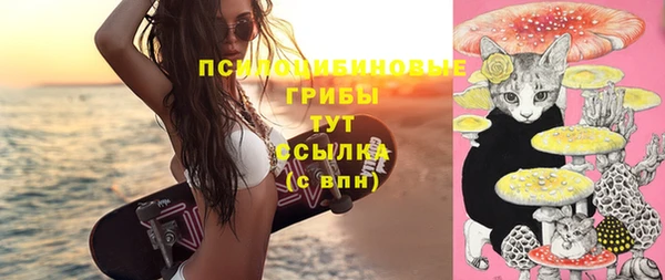 дживик Дмитровск