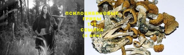 дживик Дмитровск